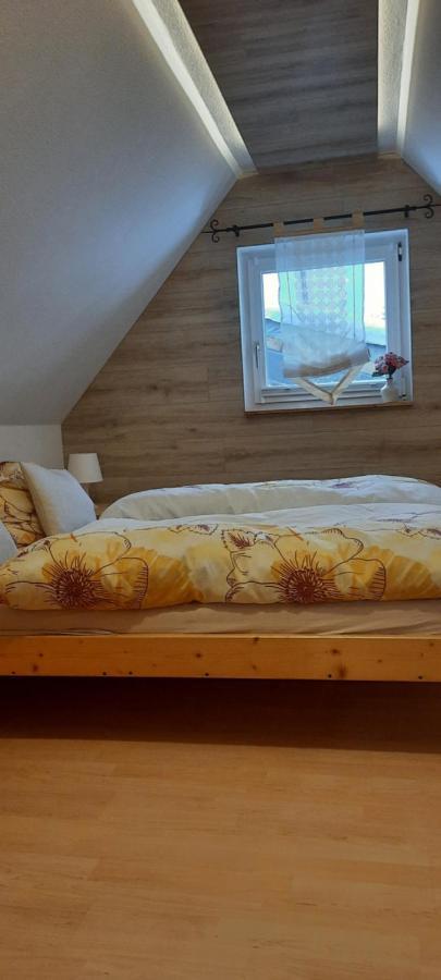 Fewo-Mueller Klingenthal Dış mekan fotoğraf