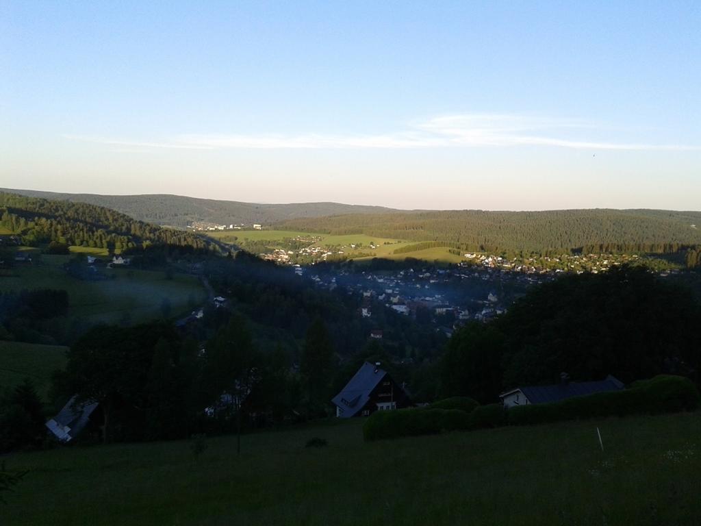 Fewo-Mueller Klingenthal Oda fotoğraf