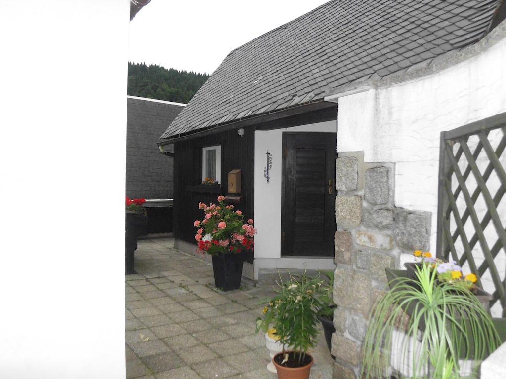 Fewo-Mueller Klingenthal Oda fotoğraf